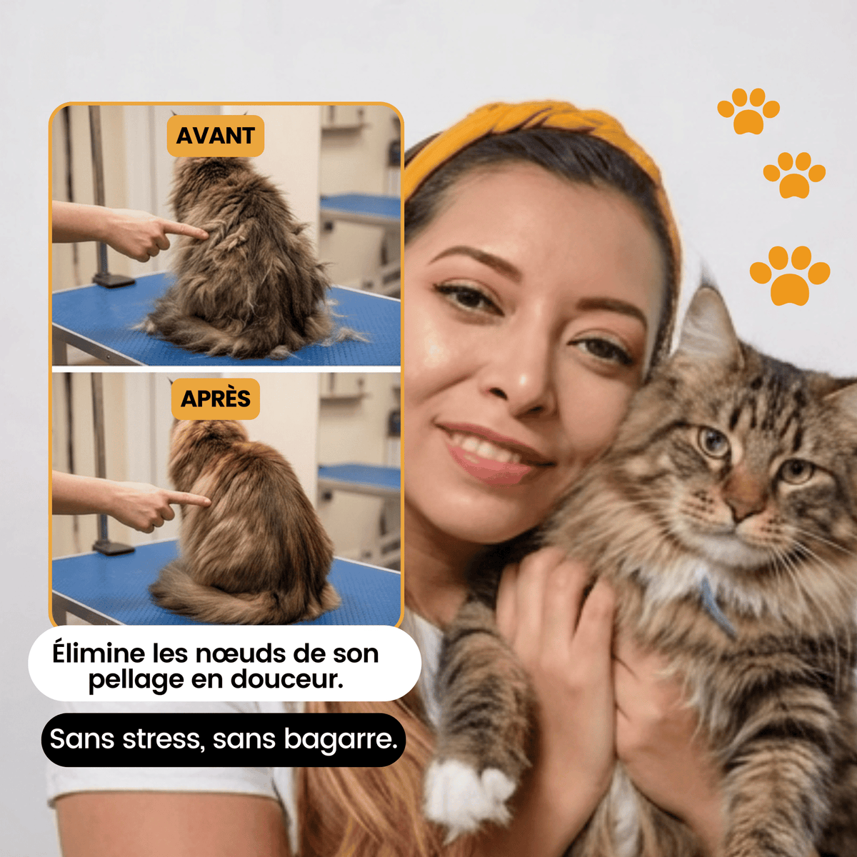 Tondeuse Silencieuse pour Chat — Anti-Nœuds, Poils Longs & Courts