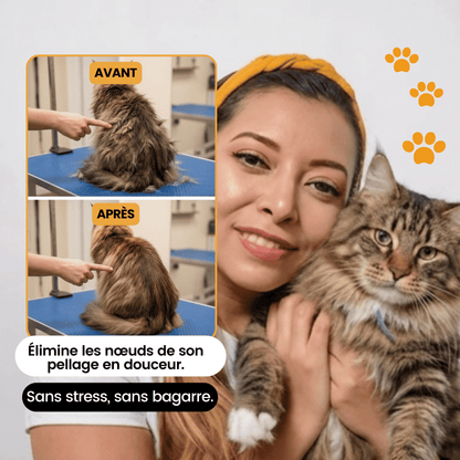 Tondeuse Silencieuse pour Chat — Anti-Nœuds, Poils Longs & Courts