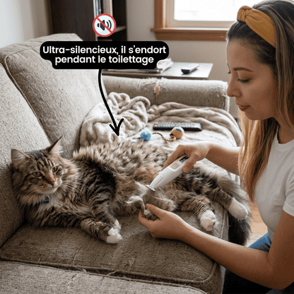 Tondeuse Silencieuse pour Chat — Anti-Nœuds, Poils Longs & Courts