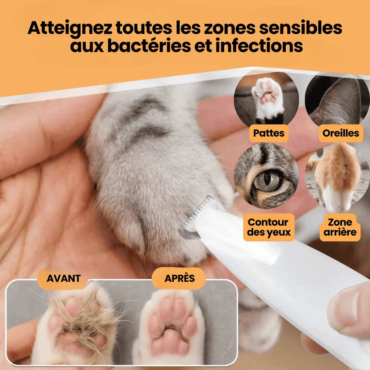 Tondeuse Silencieuse pour Chat — Anti-Nœuds, Poils Longs & Courts