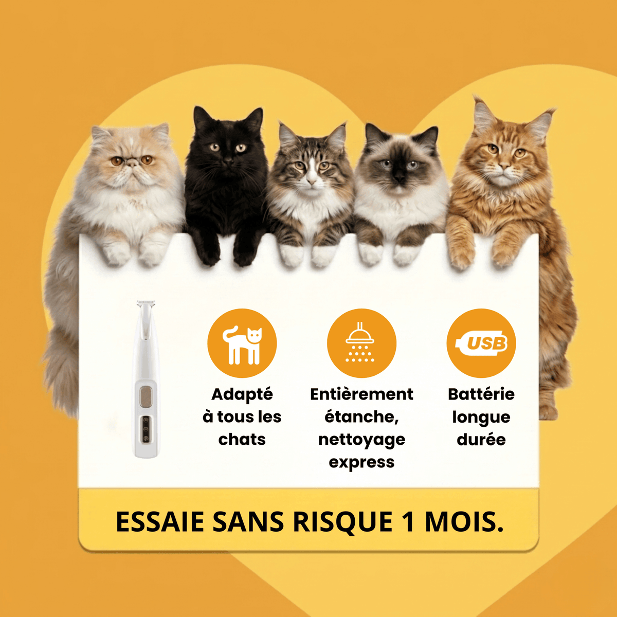 Tondeuse Silencieuse pour Chat — Anti-Nœuds, Poils Longs & Courts