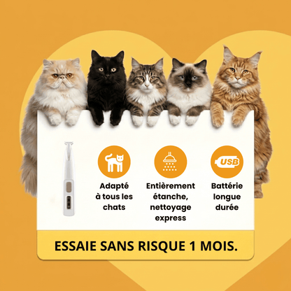 Tondeuse Silencieuse pour Chat — Anti-Nœuds, Poils Longs & Courts