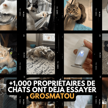 Tondeuse Silencieuse pour Chat — Anti-Nœuds, Poils Longs & Courts